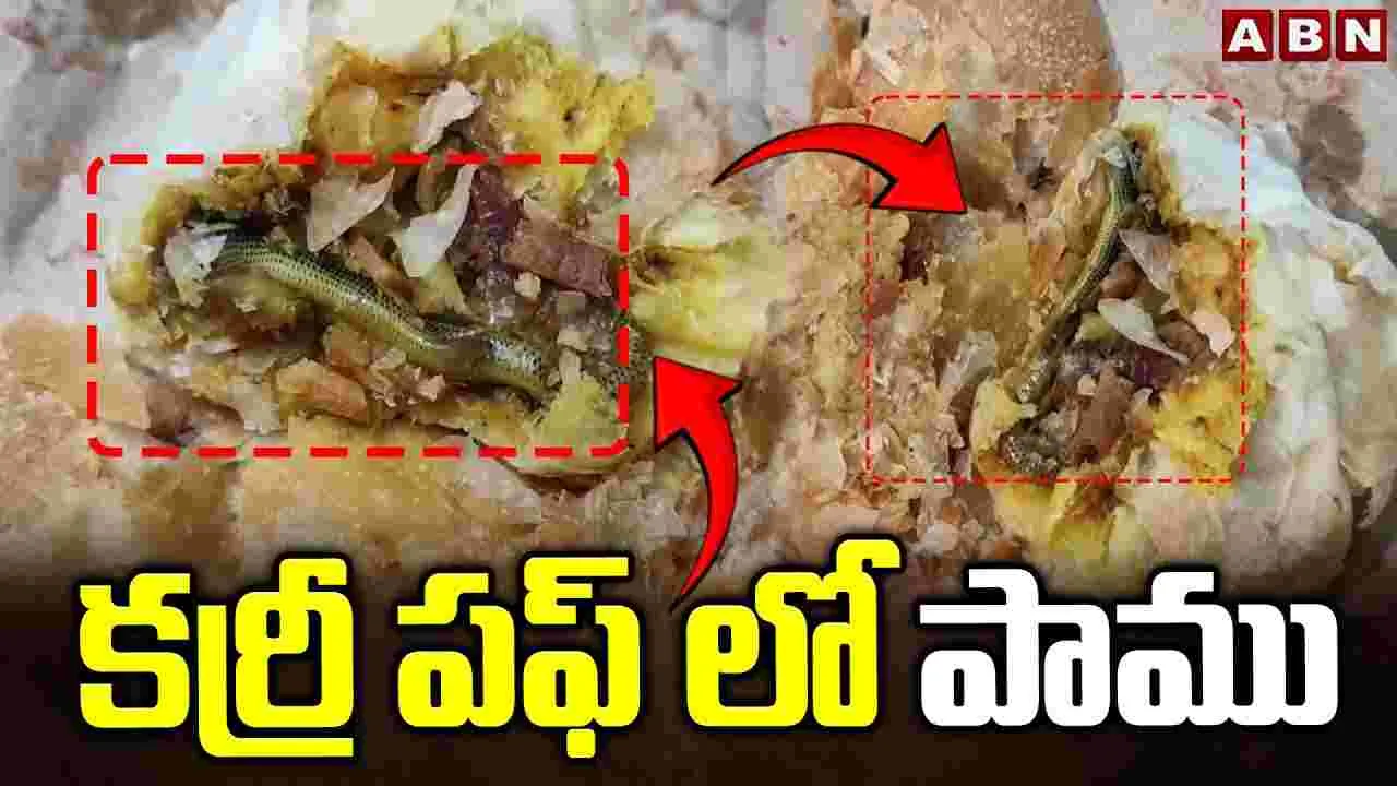 Snake In Curry Puff: కర్రీ పఫ్‌లో పాము.. షాక్ అయిన మహిళ.. 
