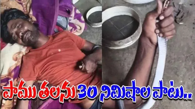 Young Man And A Snake: నిద్రలో ఉండగా శరీరంపైకి పాము.. ఆ యువకుడు ఏం చేశాడంటే..