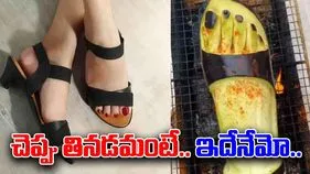 Funny Viral Video: కాలికున్న చెప్పును మంటల్లో కాల్చారు.. తీక్షణంగా చూడగా దిమ్మతిరిగే ట్విస్ట్..