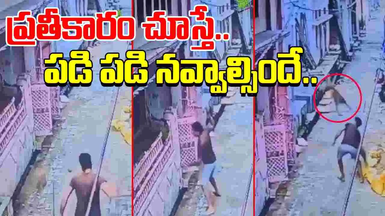 Monkey Funny Viral Video: కోతులను కర్రతో తరిమికొట్టాడు.. చివరకు జరిగింది చూస్తే.. నవ్వు ఆపుకోలేరు.. 