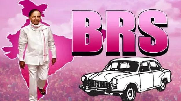 BRS: బీఆర్ఎస్ నేతల సంచలన కామెంట్స్.. రేవంత్‌రెడ్డి ఆంధ్రా కోవర్టు..