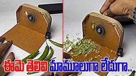 Jugaad Viral Video: మిరపకాయలు కట్ చేయడం ఇంత ఈజీనా.. ఈమె ప్రయోగం చూశారంటే..