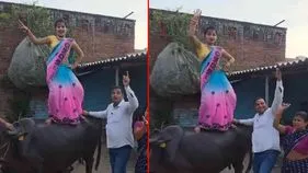 Watch Video: పిచ్చి పరాకాష్టకు చేరడమంటే ఇదే.. గేదెపై నిలబడి ఈమె చేస్తున్న పని చూడండి.. 