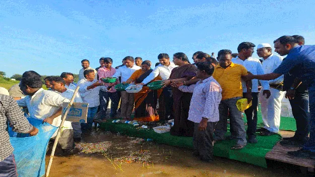 kumaram bheem asifabad- చెరువుల్లోకి చేప పిల్లలు