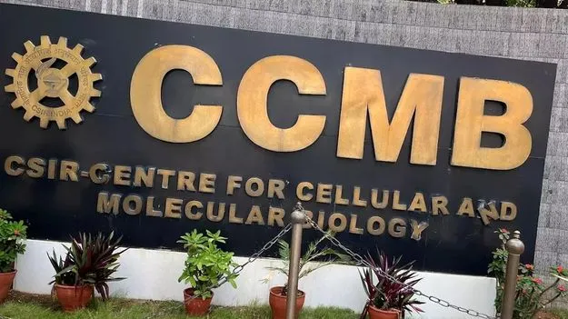 CCMB: మరణం అంచున పునరుజ్జీవం!