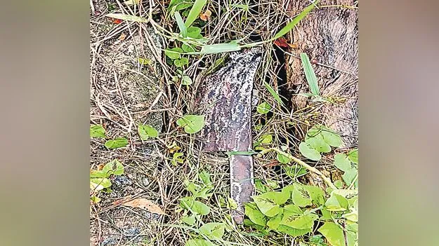 Khammam Crime: భార్యపై కత్తిపోటు 