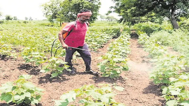 kumaram bheem asifabad- మోతాదు మించితే ముప్పే