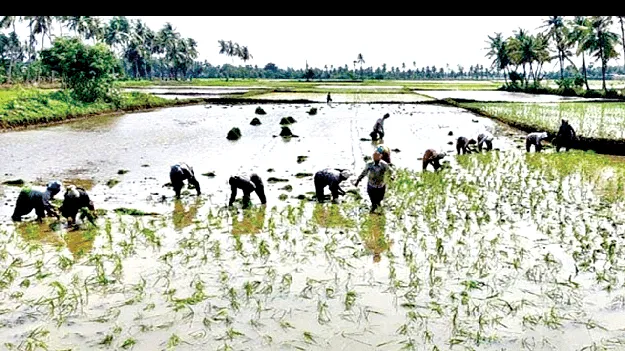Lift Irrigation Scheme: కరువు నేలలో సిరులు