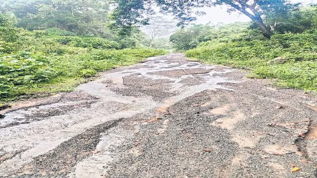 రహదారి ఇలా.. ప్రయాణమెలా?