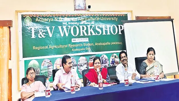 త్వరలో శత శాతం వరినాట్లు పూర్తి