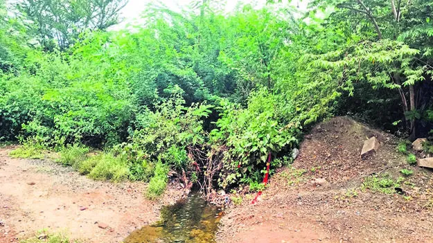 CANAL:  ఇరిగేషన కాలువలో పెరిగిన ముళ్లకంపలు