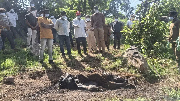 అమ్మా.. నువ్వు లేక!