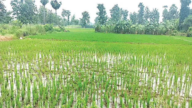 చేయి తడిపితే.. అన్నీ సక్రమమే!