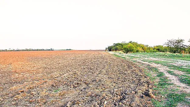 Land Disputes: నిషేధిత భూముల జాబితా పరిష్కారానికి త్రిసభ్య కమిటీ!