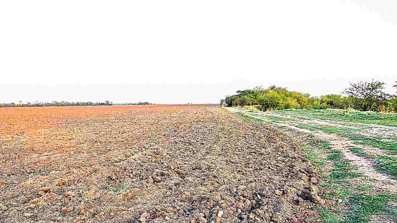 Land Disputes: నిషేధిత భూముల జాబితా పరిష్కారానికి త్రిసభ్య కమిటీ!