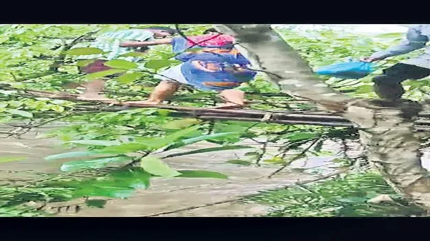 సర్కస్‌ ప్రయాణం