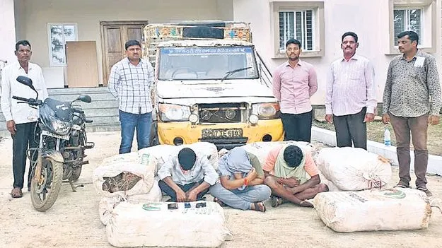 350 కిలోల గంజాయి పట్టివేత