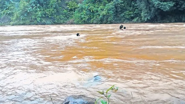కొనసాగుతున్న గెడ్డల ఉధృతి! 
