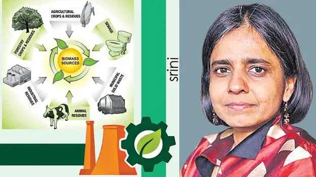 Biomass Energy: జీవ ద్రవ్యాలతో విద్యుత్‌ ఉత్పత్తి