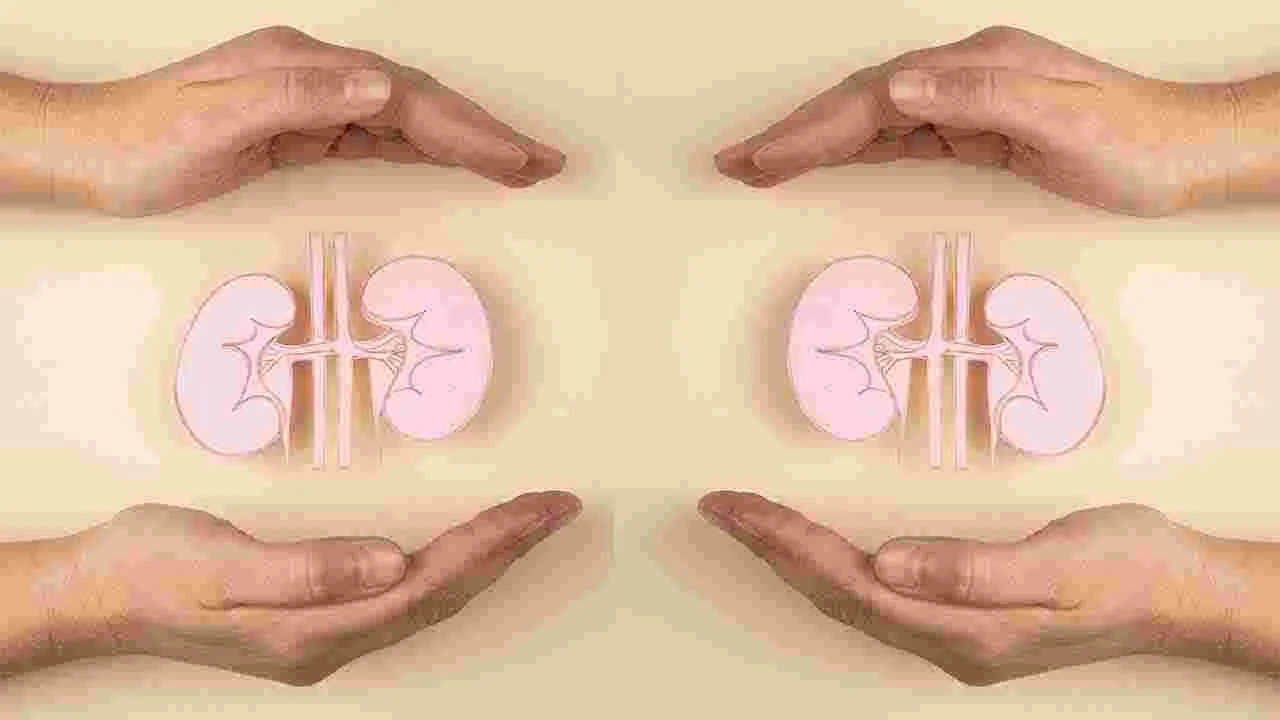 Kidney Disease Signs: ఈ లక్షణాలు ప్రమాదకరం