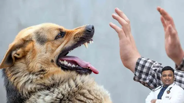 Rabies Awareness: కుక్క కాటుకు యాంటీ రేబీస్‌ దెబ్బ