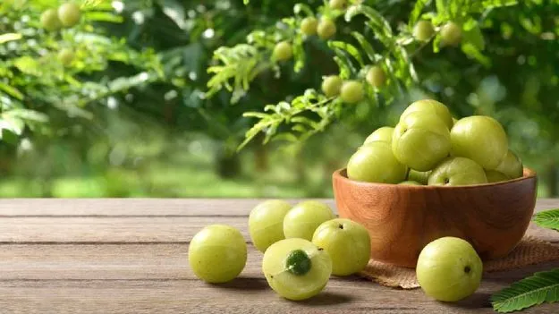 Indian Gooseberry Side Effects ఉసిరితోనూ సైడ్ ఎఫెక్ట్స్.. వీటిని ఎవరు తినకూడదంటే.. 