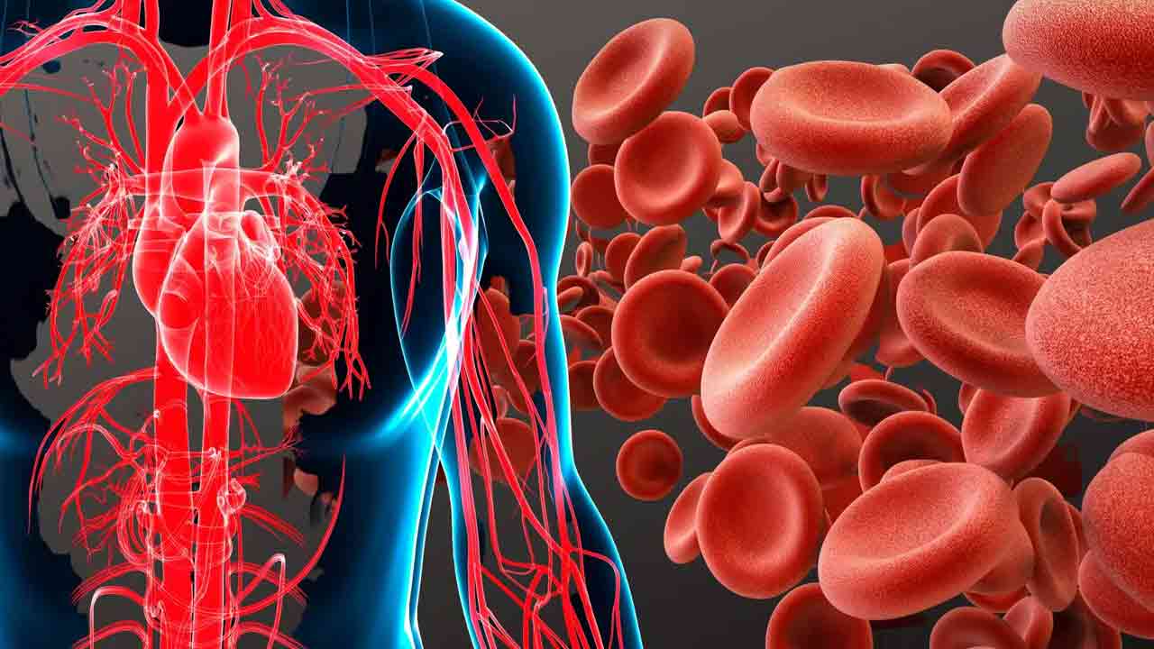 Health Tips: వరుసగా 2 వారాల పాటు మెంతులు తింటే ఏం జరుగుతుందో తెలుసా..