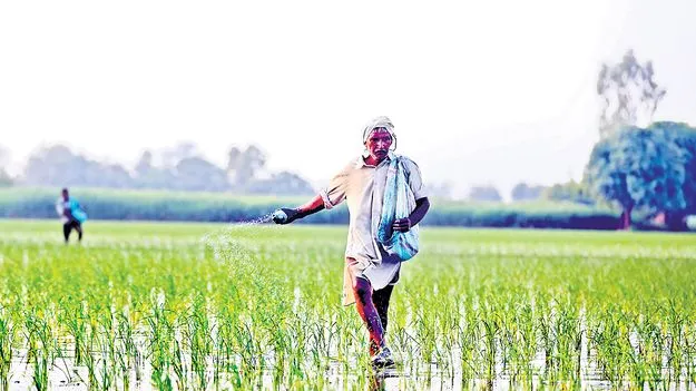 Urea Supply Boost: యూరియా వచ్చింది