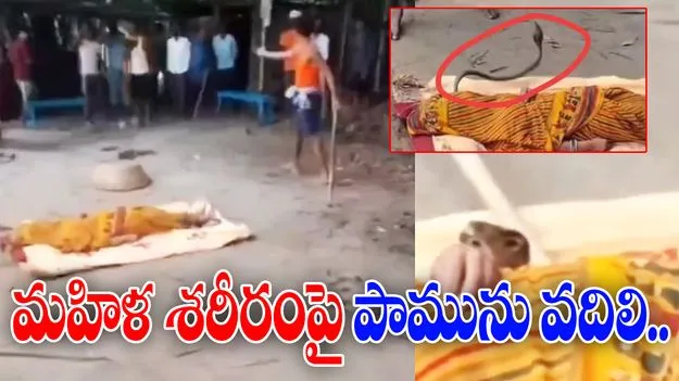 Cobra Bites Woman: మహిళను కాటేసిన పాము.. ఆస్పత్రికి తీసుకెళ్లాల్సిందిపోయి..