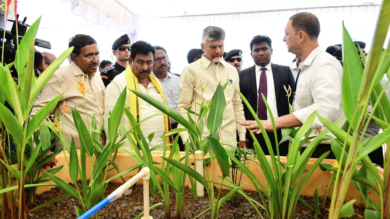 AP CM Visits Stalls Swarnandhra Swachhandhra Peddapuram : పెద్దాపురం స్వర్ణాంధ్ర స్వచ్ఛాంధ్ర కార్యక్రమం