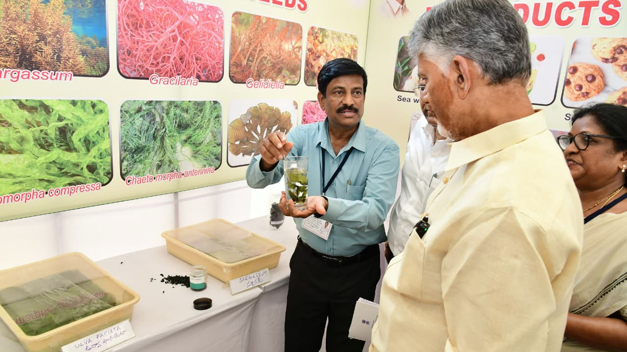 AP CM Visits Stalls Swarnandhra Swachhandhra Peddapuram : పెద్దాపురం స్వర్ణాంధ్ర స్వచ్ఛాంధ్ర కార్యక్రమం