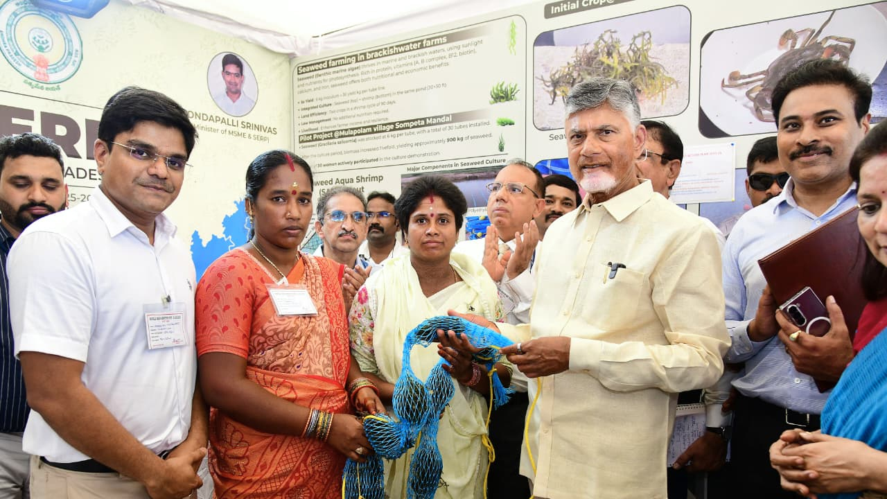 AP CM Visits Stalls Swarnandhra Swachhandhra Peddapuram : పెద్దాపురం స్వర్ణాంధ్ర స్వచ్ఛాంధ్ర కార్యక్రమం