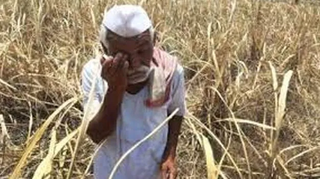 Farmer Suicide: అప్పుల బాధతో రైతు ఆత్మహత్య 