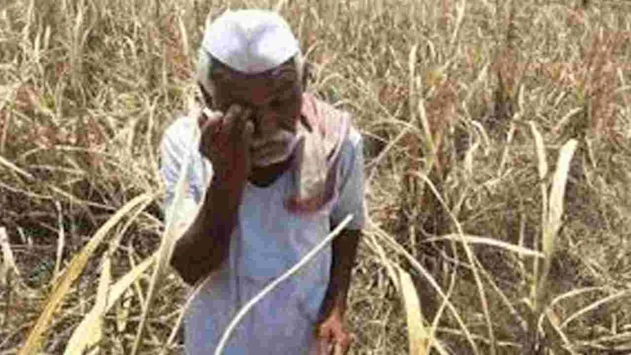Farmer Suicide: అప్పుల బాధతో రైతు ఆత్మహత్య 