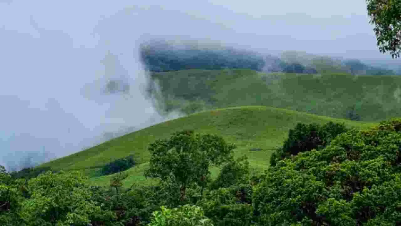 IRCTC Coorg Tour Package 2025: IRCTC కూర్గ్ టూర్ ప్యాకేజీ.. ప్రకృతి ప్రేమికుల కోసం స్పెషల్ ఆఫర్