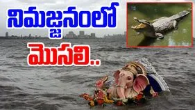 Mantralayam Vinayaka immersion: వినాయకుడి నిమజ్జనంలో మొసలి కలకలం.. శవాన్ని మింగిన మొసలి