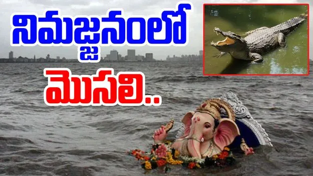 Mantralayam Vinayaka immersion: వినాయకుడి నిమజ్జనంలో మొసలి కలకలం.. శవాన్ని మింగిన మొసలి
