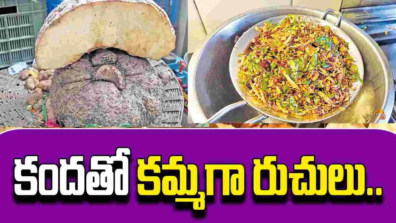 Delicious Recipes with Taro: కందతో కమ్మగా రుచులు