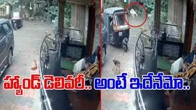 Delivery Boy Funny Video: డెలివరీ పర్‌ఫెక్ట్‌గా చేశాడుగా.. ఈ పేపర్ బాయ్ టాలెంట్ చూస్తే..