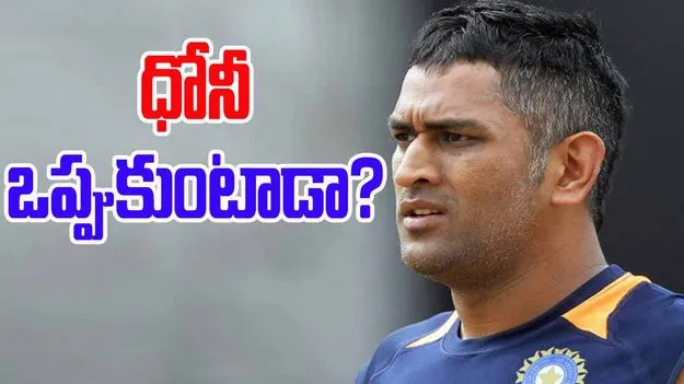 MS Dhoni World Cup: టీమిండియాకు ధోనీ సేవలు.. బీసీసీఐ ప్రతిపాదనకు అంగీకరిస్తాడా? 