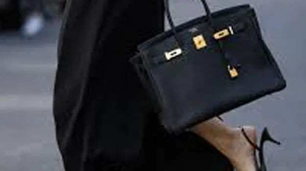 Trending Handbags: ట్రెండీ హ్యాండ్‌ బ్యాగ్‌లు ఇవే..