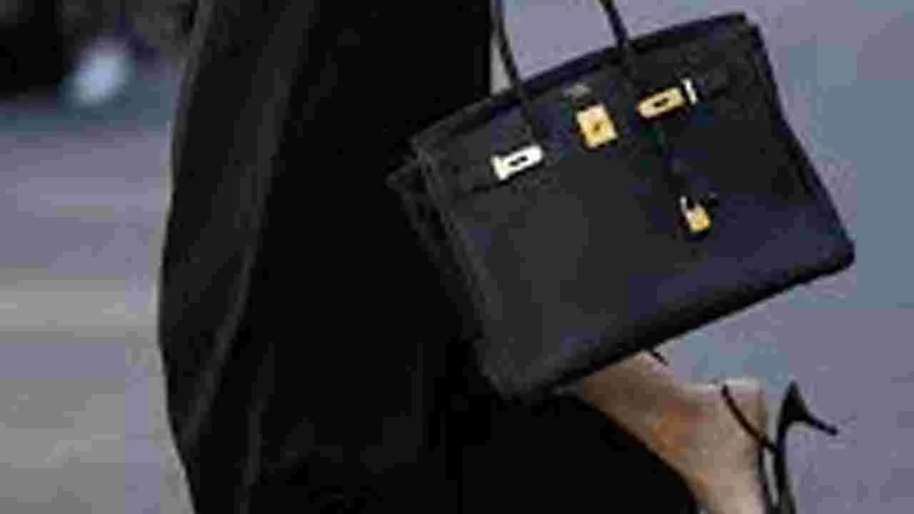 Trending Handbags: ట్రెండీ హ్యాండ్‌ బ్యాగ్‌లు ఇవే..