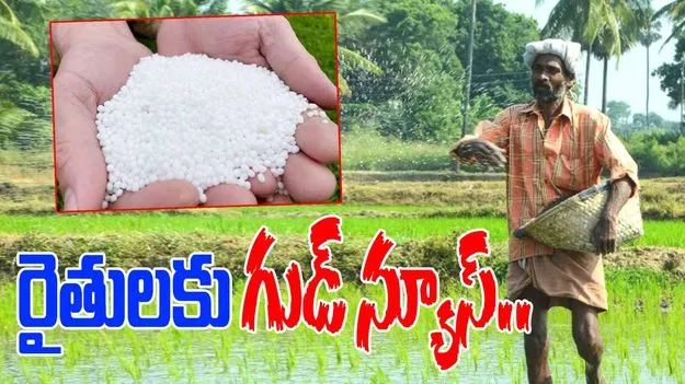 Minister Tummala Nageswara Rao: యూరియా సరఫరాలో ఫలిస్తున్న ప్రభుత్వ ప్రయత్నాలు..