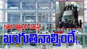 Funny Viral Video: అందుకే అన్నారు.. ఐకమత్యమే మహా బలమని.. కావాలంటే ఈ వీడియో చూడండి..