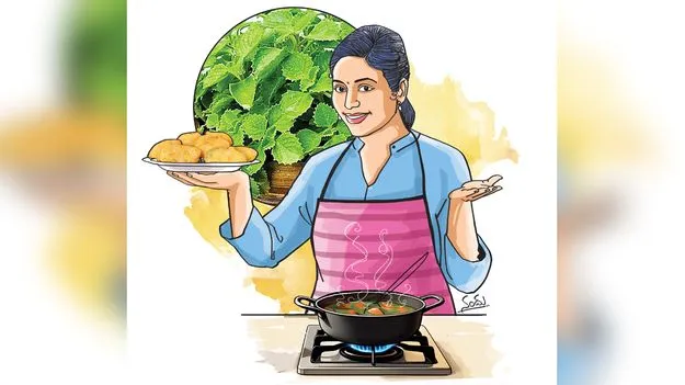 Medicinal Benefits of Vamu Leaves: వాము ఆకుల్లో ఘాటైన ఔషధ గుణాలు