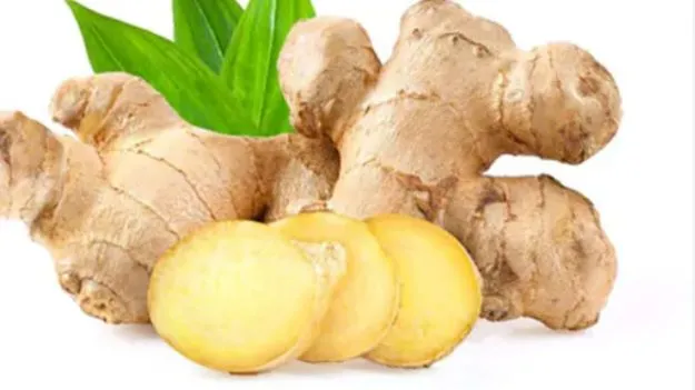 Ginger Side Effects: అల్లం క్రమం తప్పకుండా ఉపయోగిస్తే హాని కలుగుతుందా?