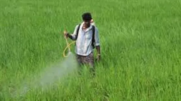 Urea Shortage: పొలం పనులు వదిలి పడిగాపులు