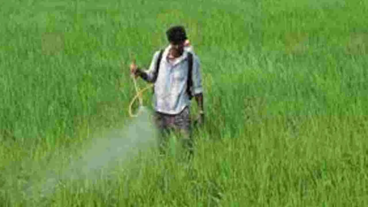 Urea Shortage: పొలం పనులు వదిలి పడిగాపులు