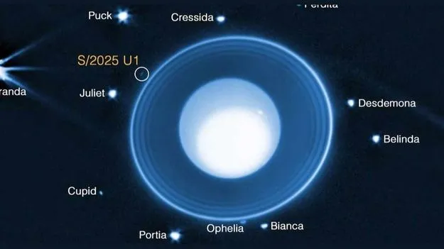 James Webb Telescope: కీలక విషయాన్ని కనుగొన్న జేమ్స్ వెబ్ టెలిస్కోప్