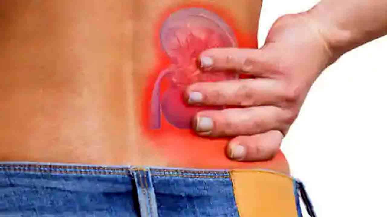 Health Tips: ఈ 5 ప్రదేశాల్లో నొప్పిగా ఉందా.. అయితే మీ కిడ్నీలు జాగ్రత్త..  